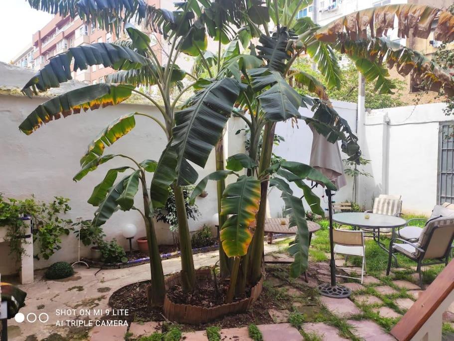 Apartamento Cozy En Ruzafa 2-4 Personas Con Aire Acondicionado Y Salida Directa A Terraza Valência