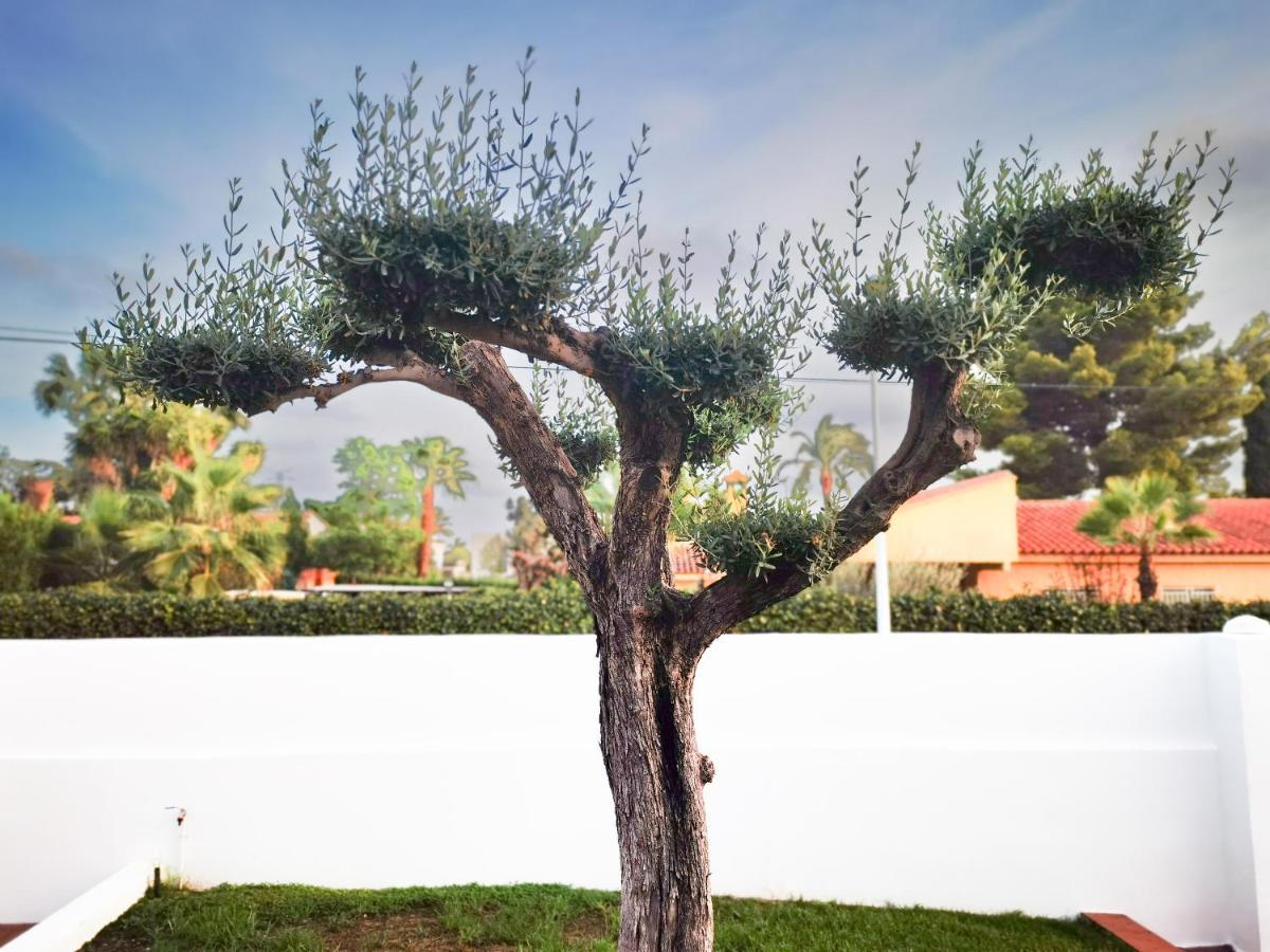 Pousada Con Piscina, Jardin Y Aire Acondicionado En La Eliana-l'eliana *