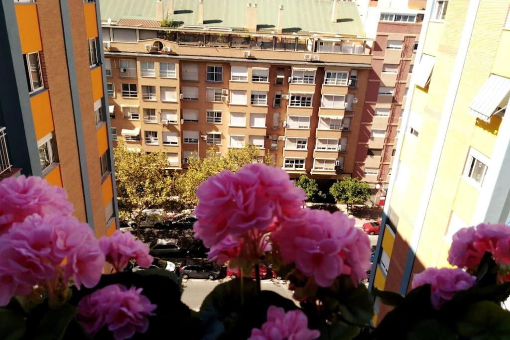 Junto Al Oceanografic Appartement *