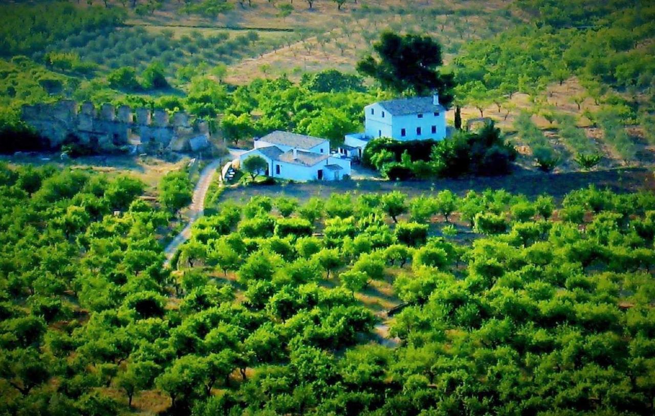 El Pino B & B, Chera * Valencia