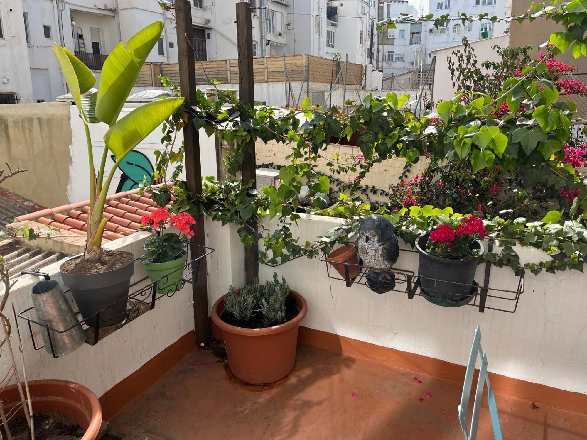 Apartment Ruzafa Centro Ii Valencia