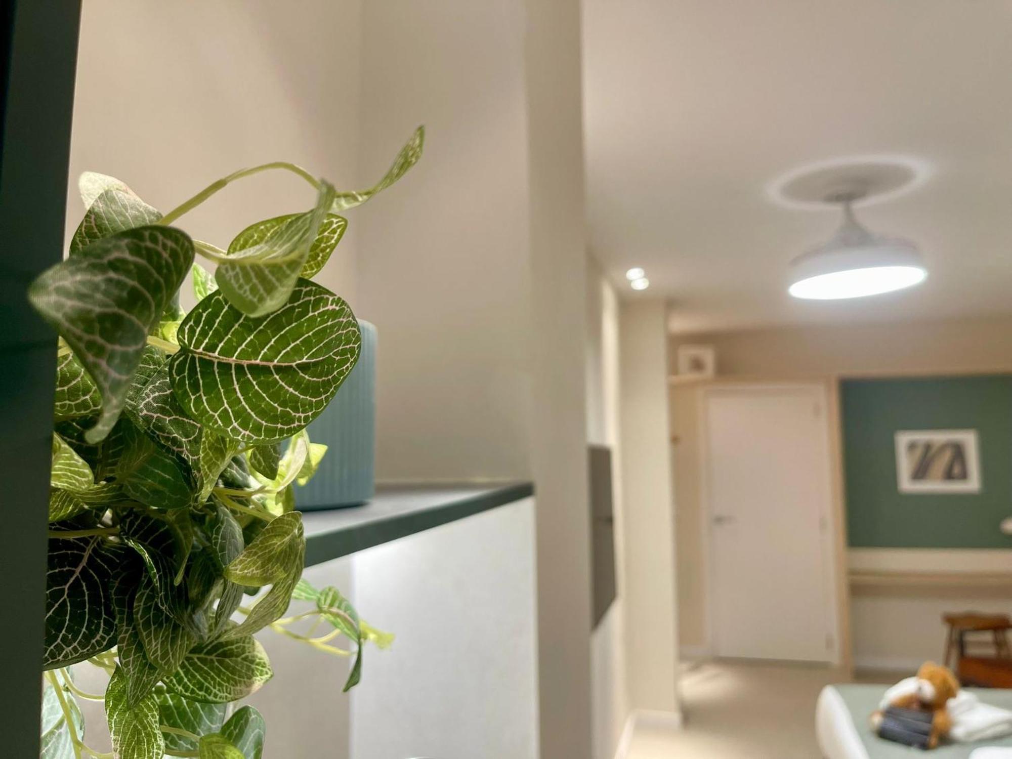 Apartamento Old Cute & Comfort Osito Hub B *