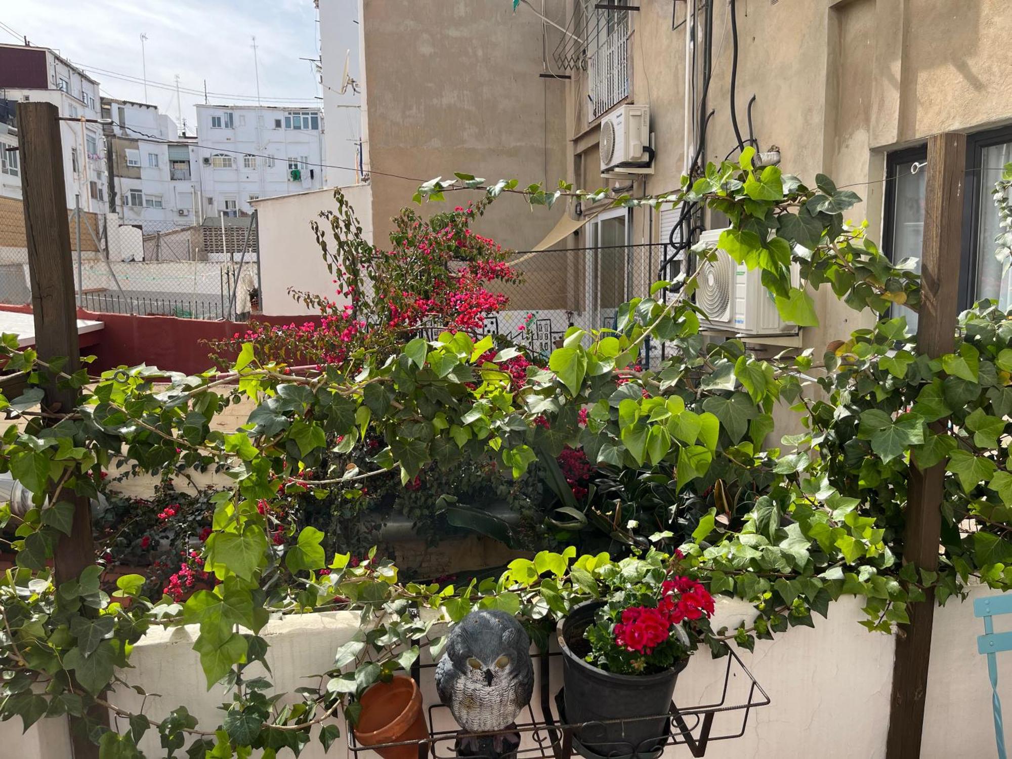 Ruzafa Centro Ii *
