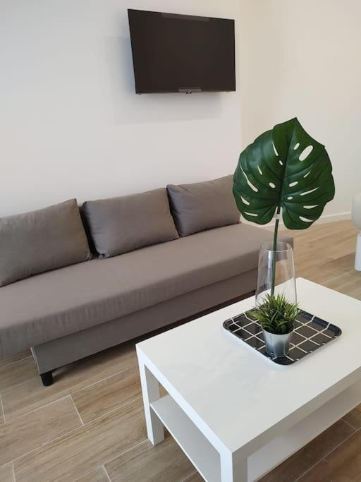 Nuevo Loft En Playa Y Cerca Del Centro, Ac Y Wifi Apartment