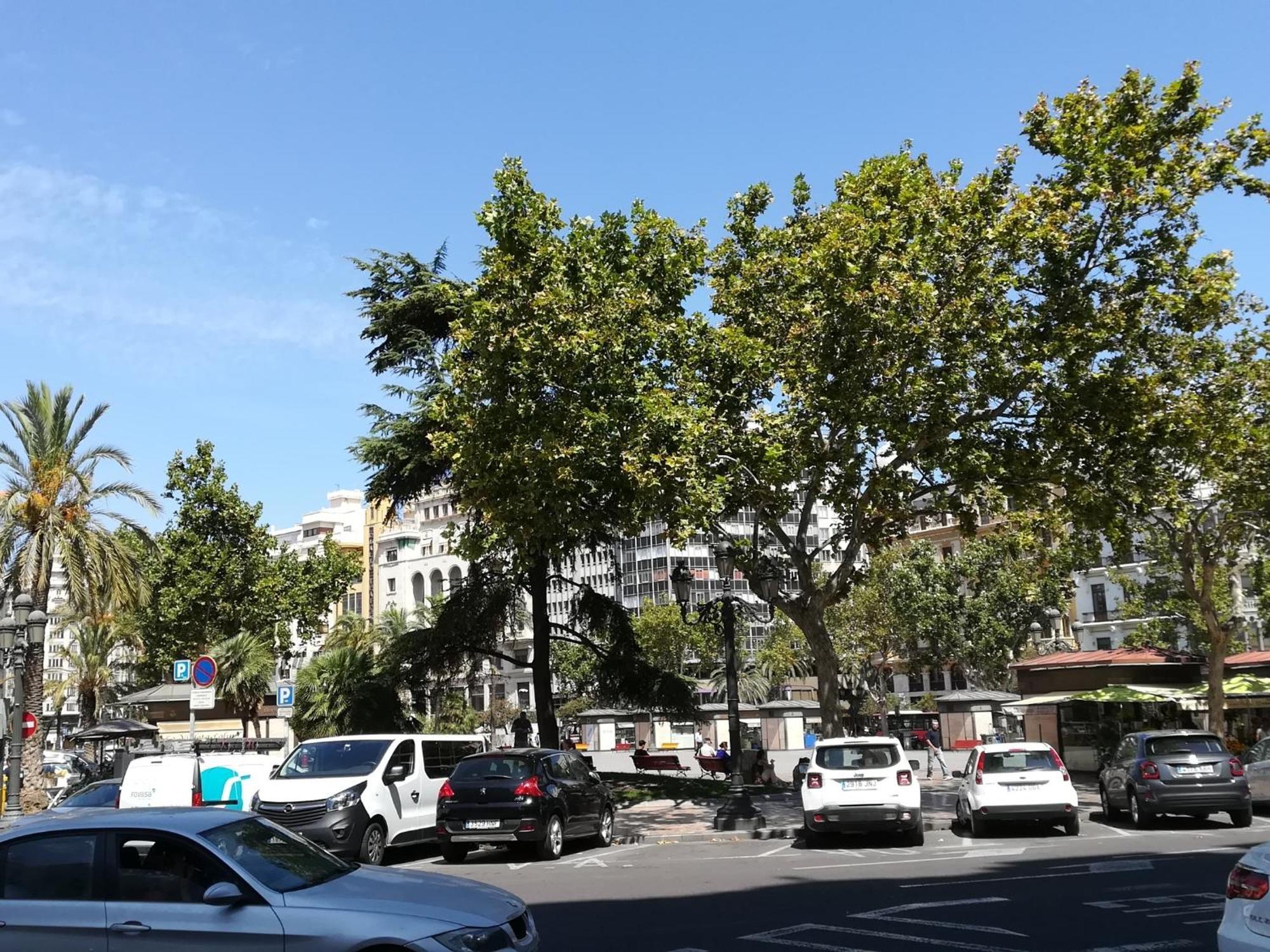Bam ! Centro ! Centre ! Zentrum ! Apartamento *