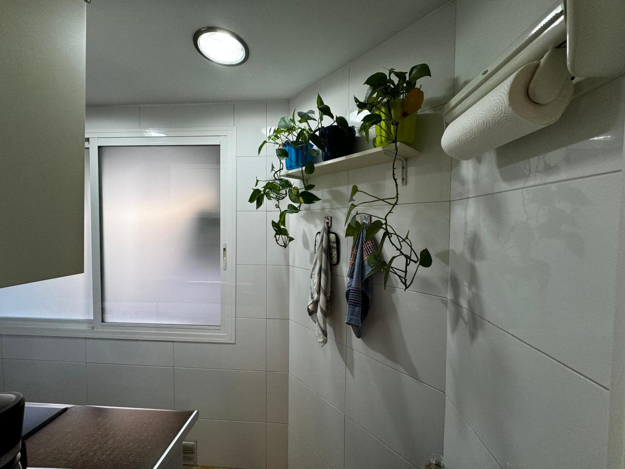 Ruzzafa Codrut Apartment