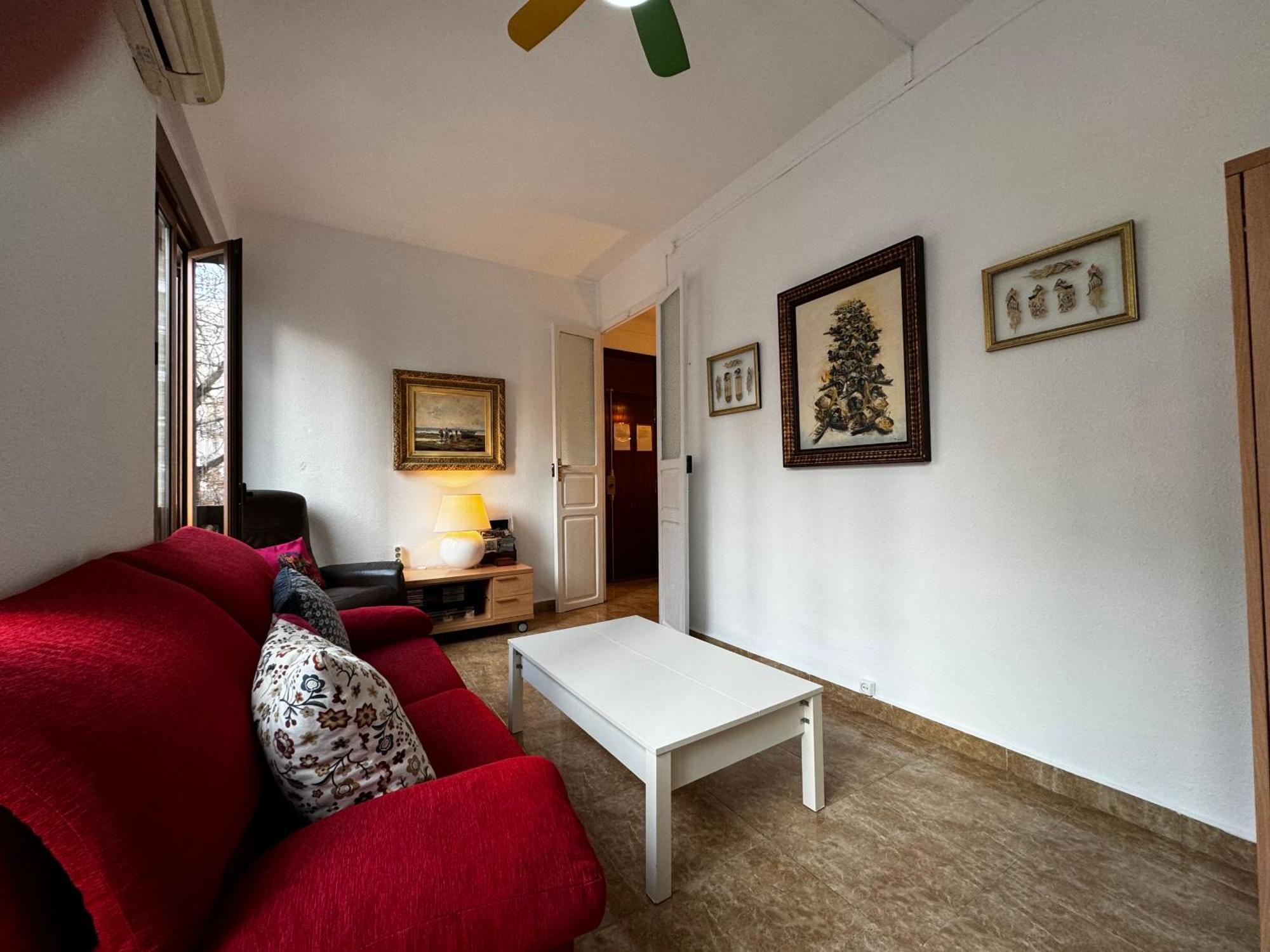 Apartment Ruzzafa Codrut