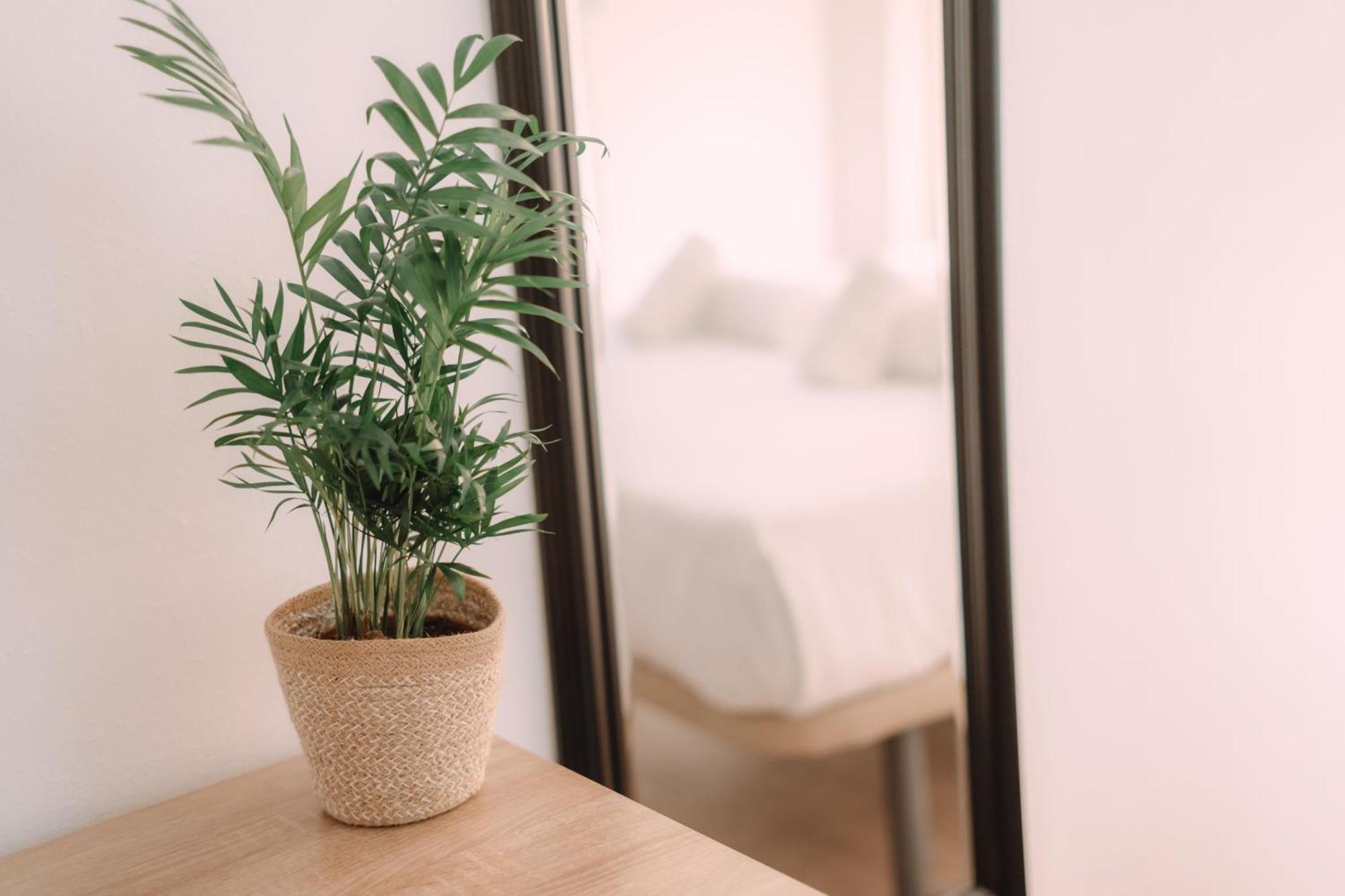 Guest house Concept