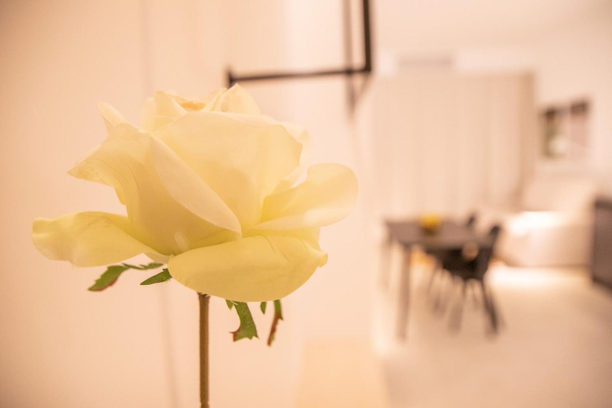 Breathe By Concept Flats Apartment Valencia