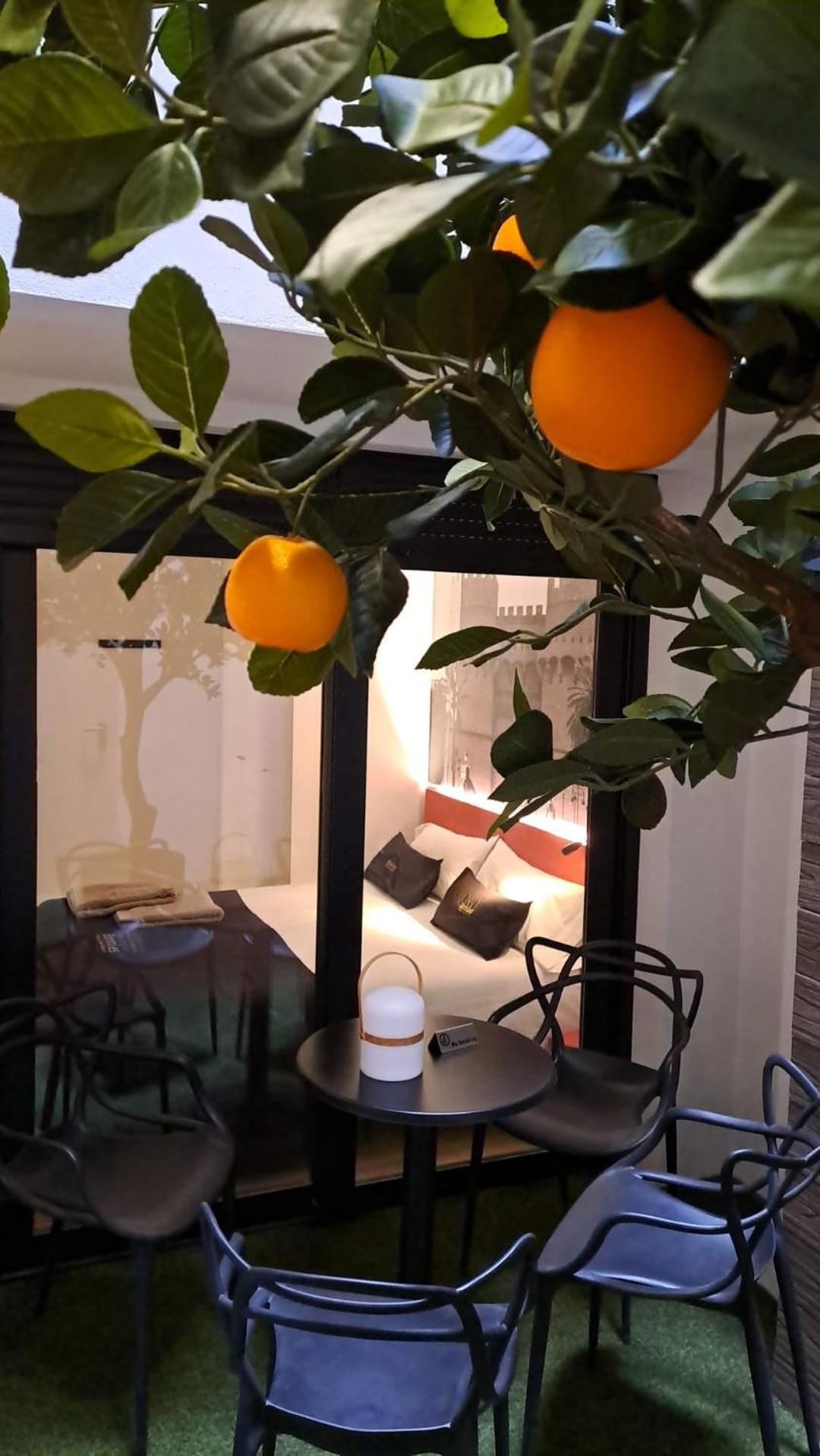 Appartement Bonnies & Valencia