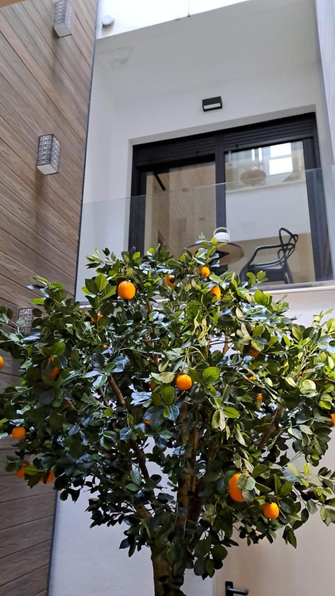 Appartement Bonnies & *