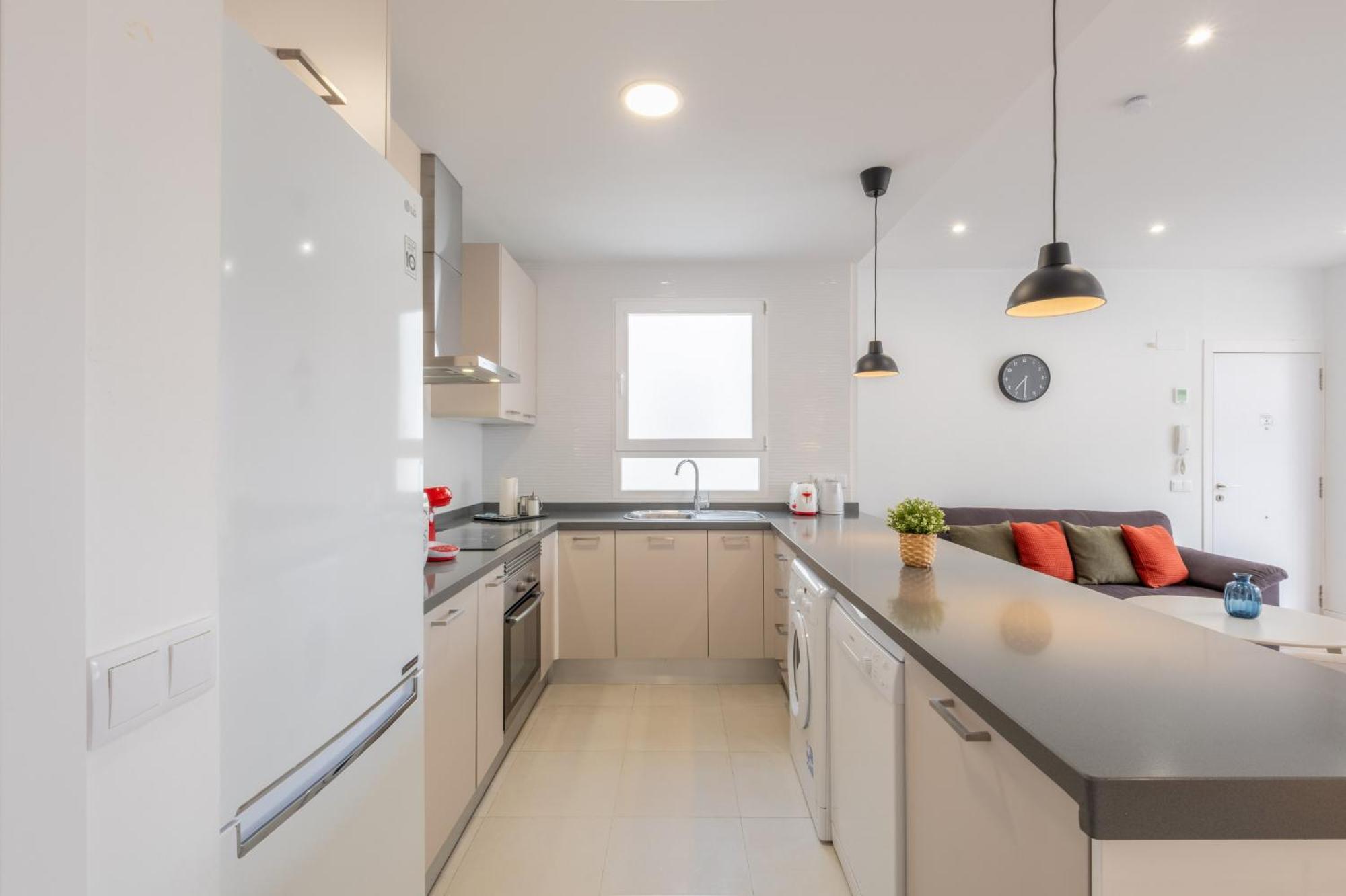 Spacious Penthouse With Private Terrace Apartment