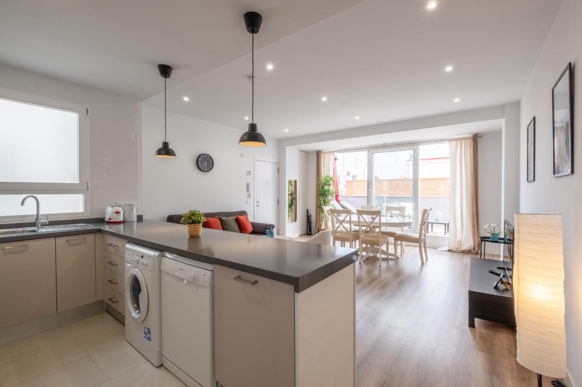 Spacious Penthouse With Private Terrace Apartment
