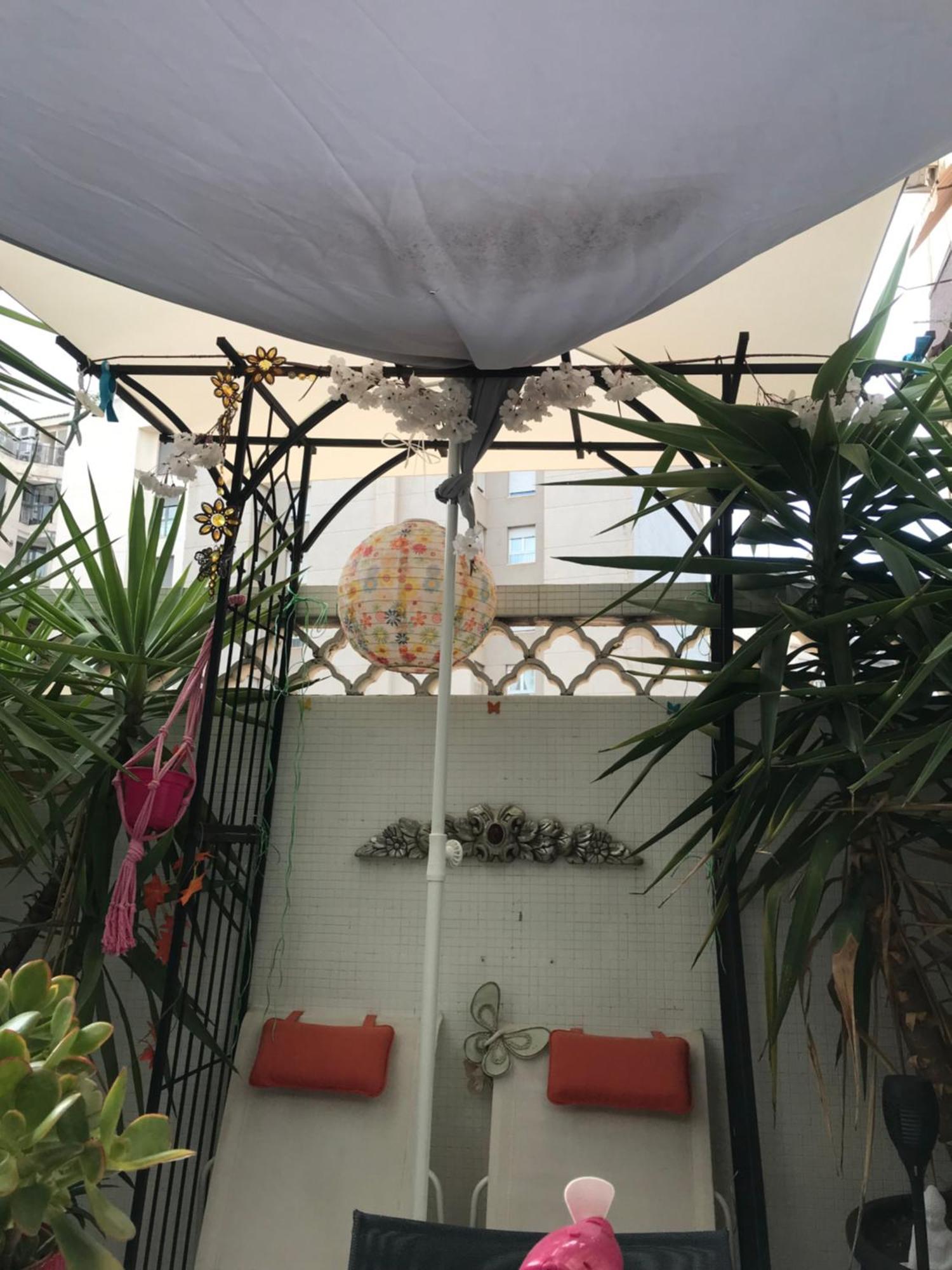 Papillon Bed & Breakfast *