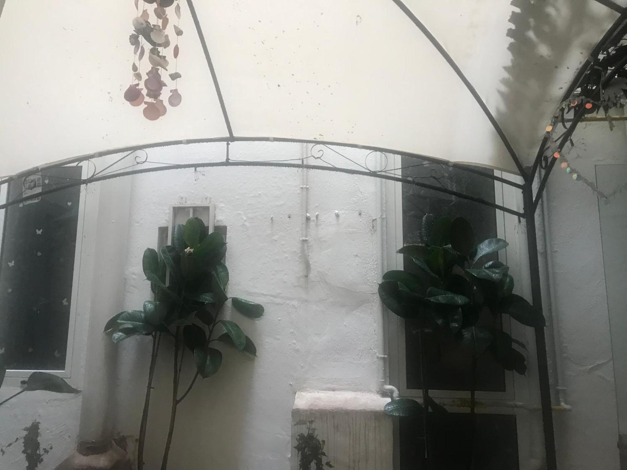 Bed & Breakfast Papillon Valencia