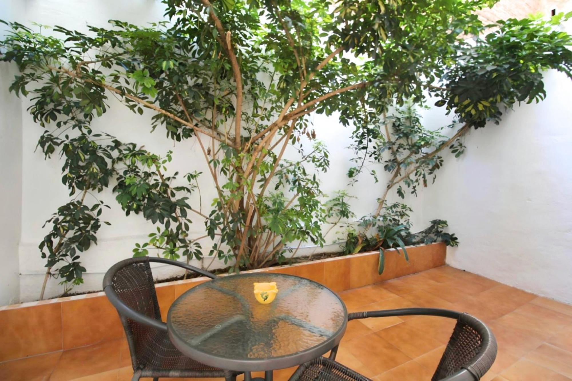 Increible Con Terraza Al Lado De Torres De Quart Apartment *