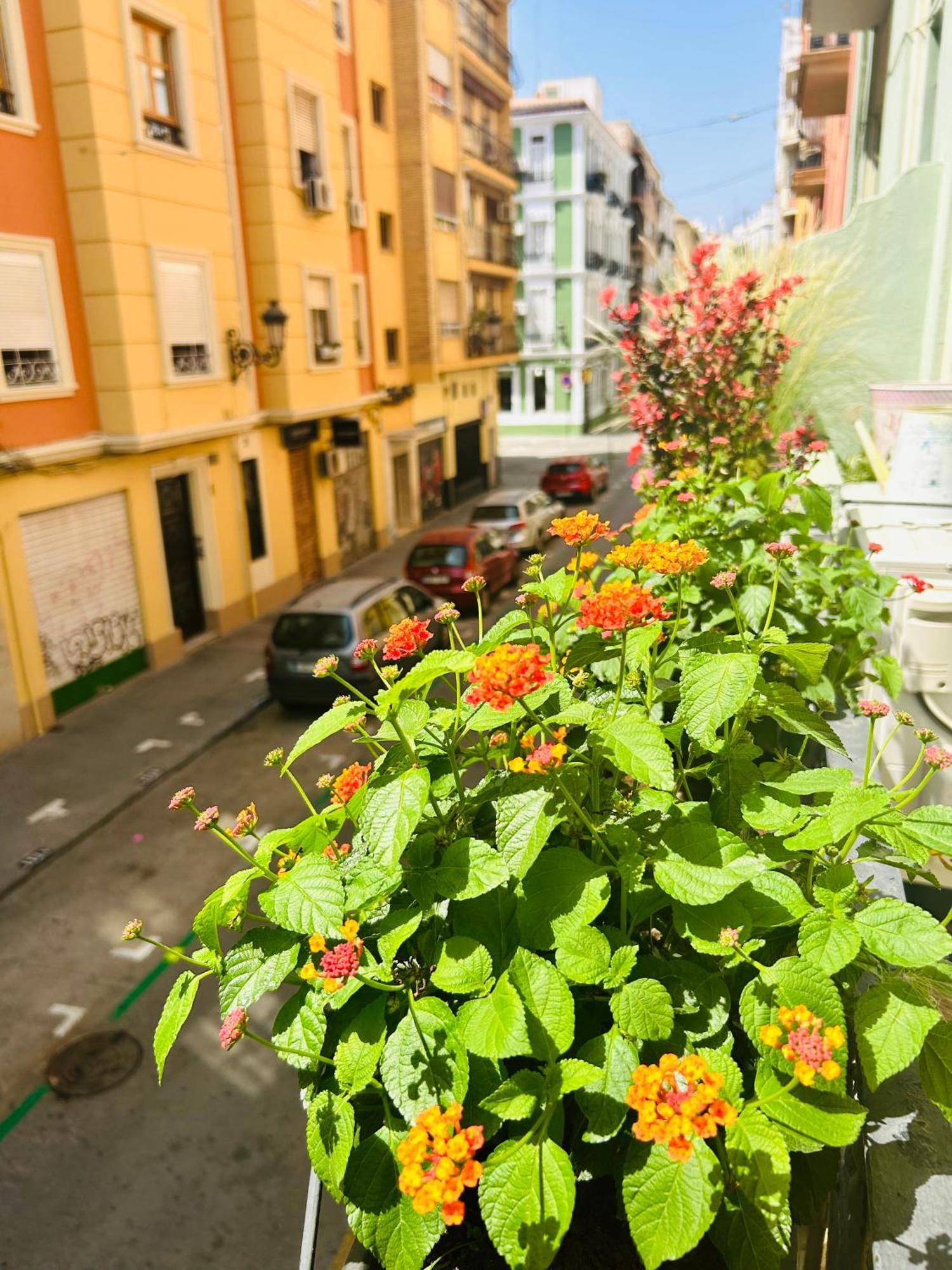 Habitación Privada En Ruzafa Valencia