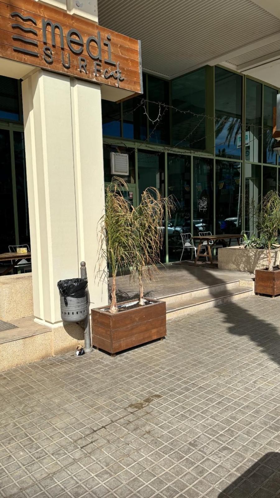 Apartamento Primera Linea De Playa Patacona Valência
