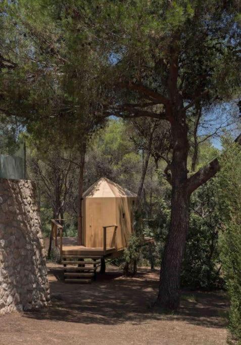 Calma Villa. De Lujo, Jacuzzi Y Piscina Appartement Valencia