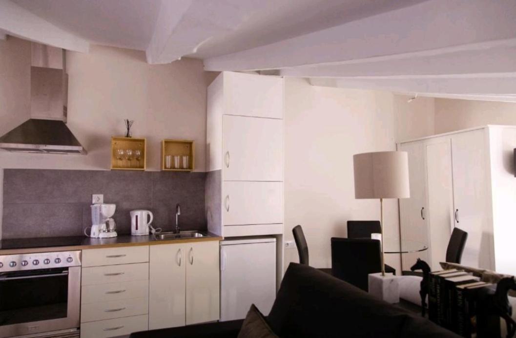 Loft Con Terraza Apartment