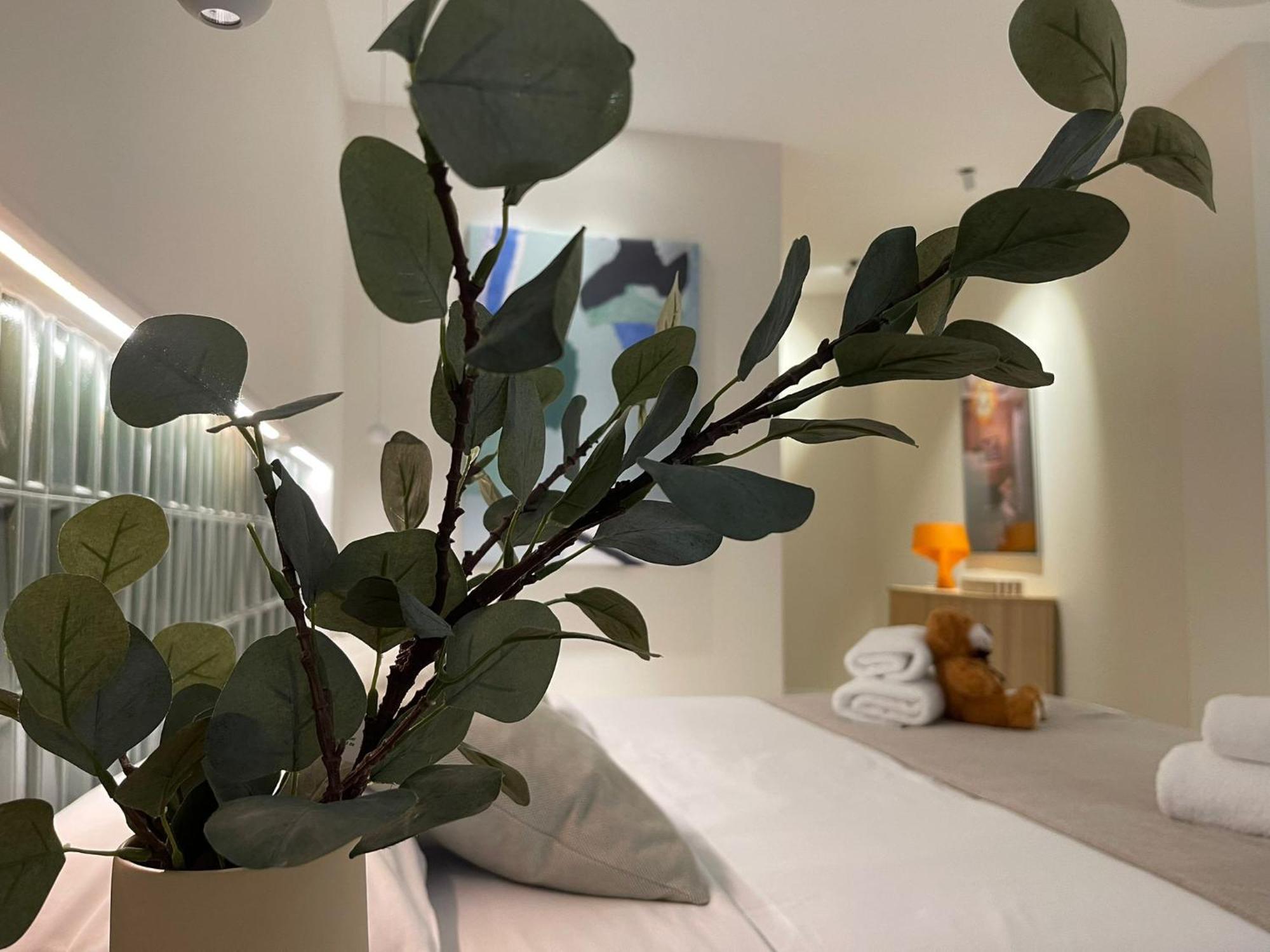 Apartment Osito Hub - Pintor Nicolau *