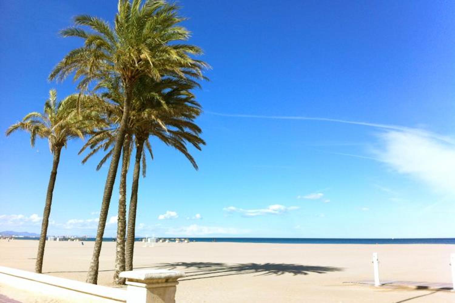 Master&commander * Valencia