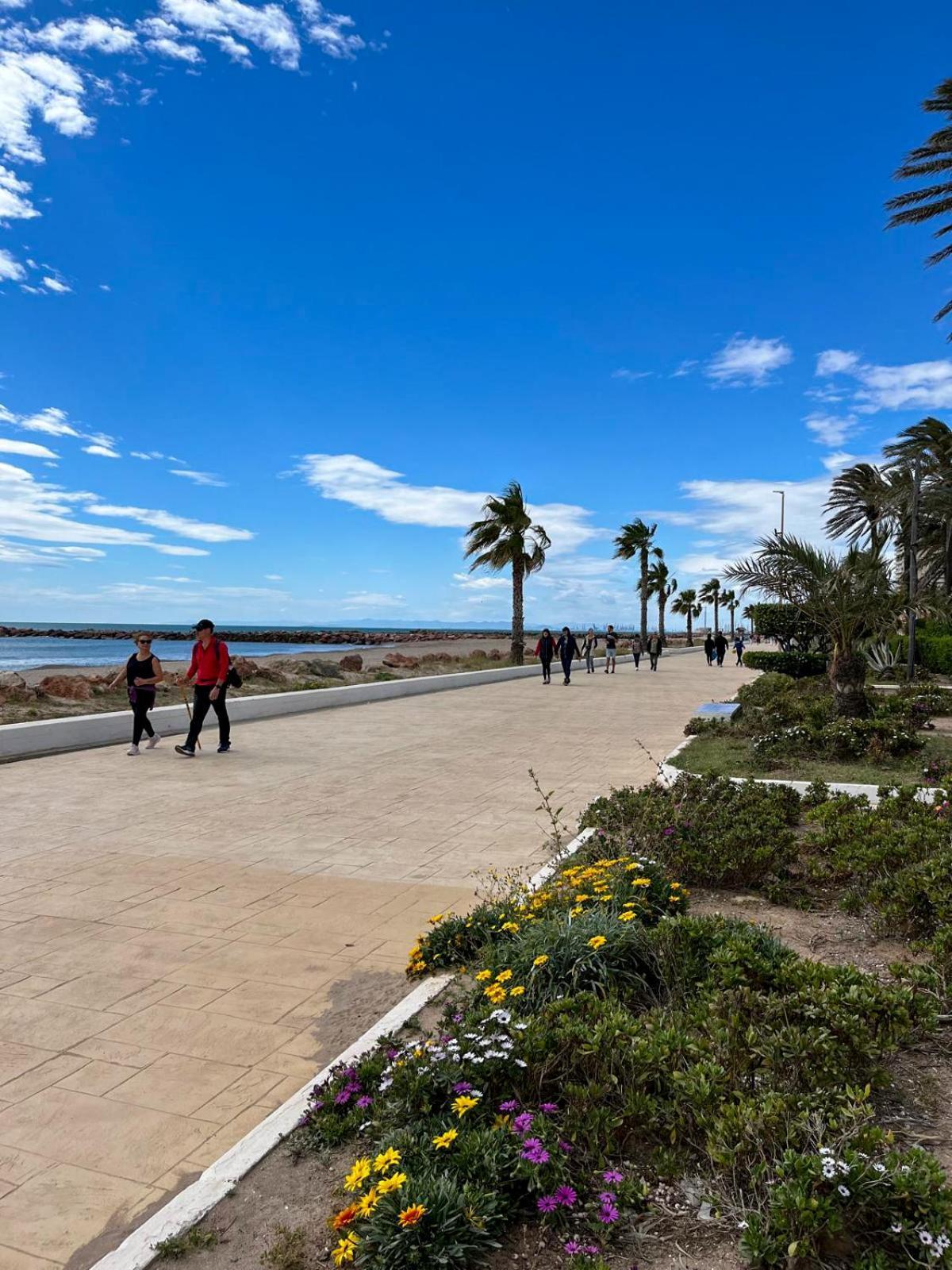 En Primera Linea De La Playa A 15 Minutos De La Ciudad De *