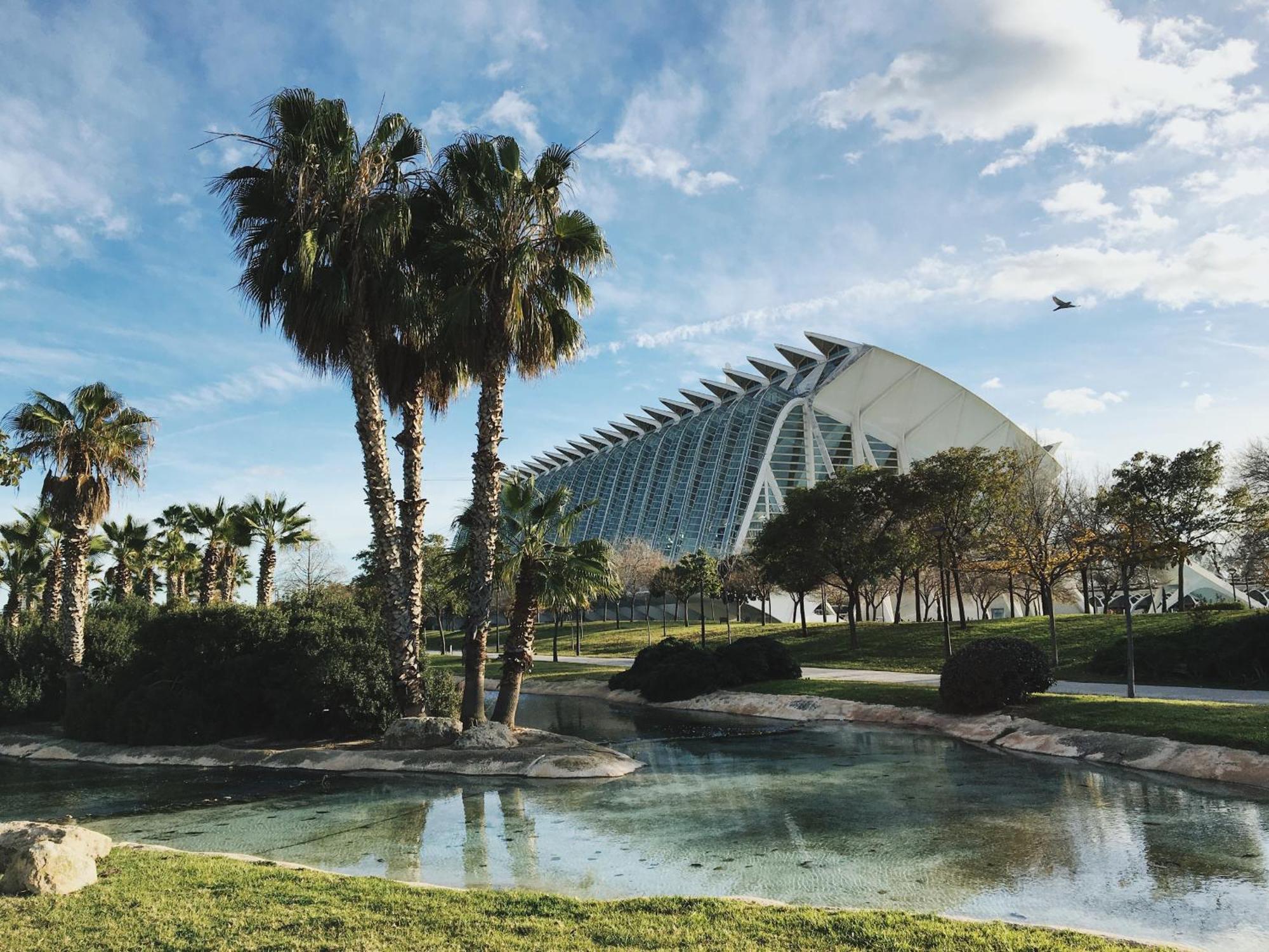 Mediterraneum D Valência