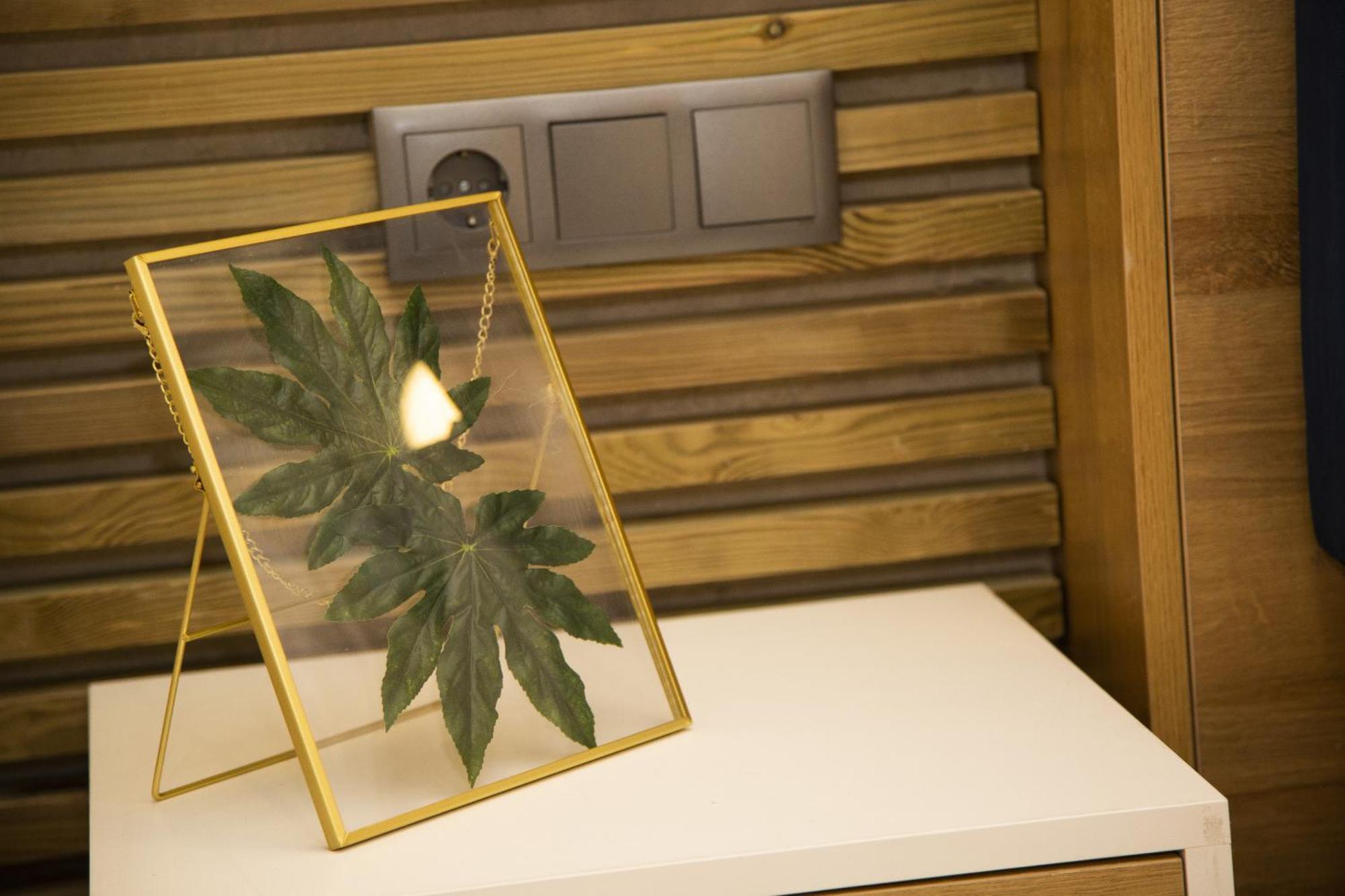 Fabulosa Vivienda Nueva A Un Paso De Plaza Espana Apartment *