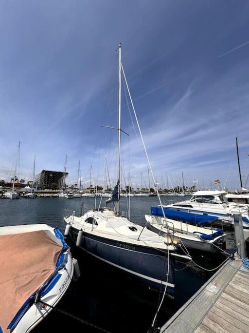 Marine Dream Botel Valencia