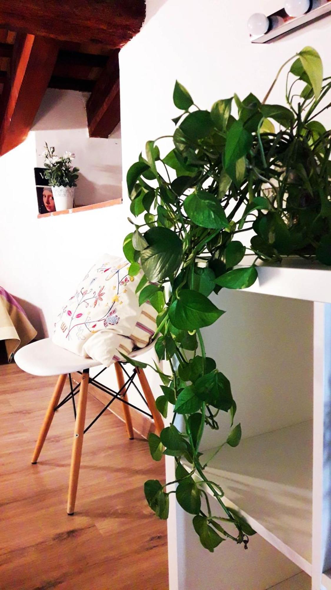 Appartement Centricos Barrio Del Carmen *