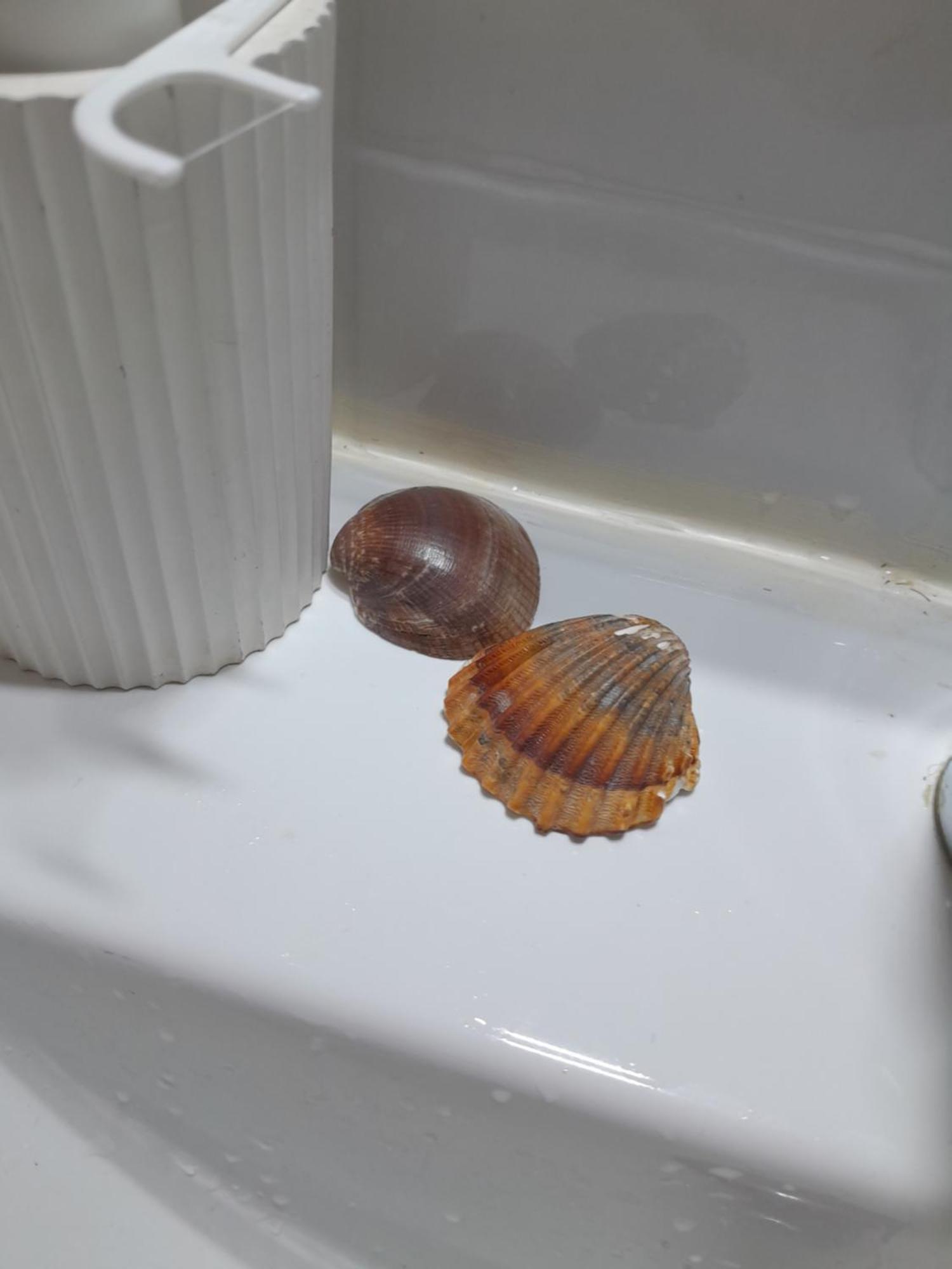 Gemuetliches 