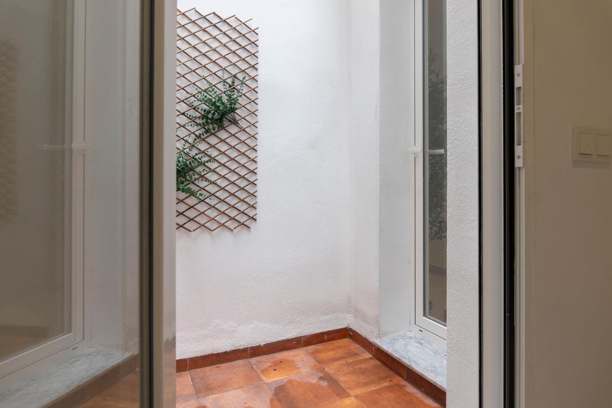 Vlc Host - Alfaro * Valencia