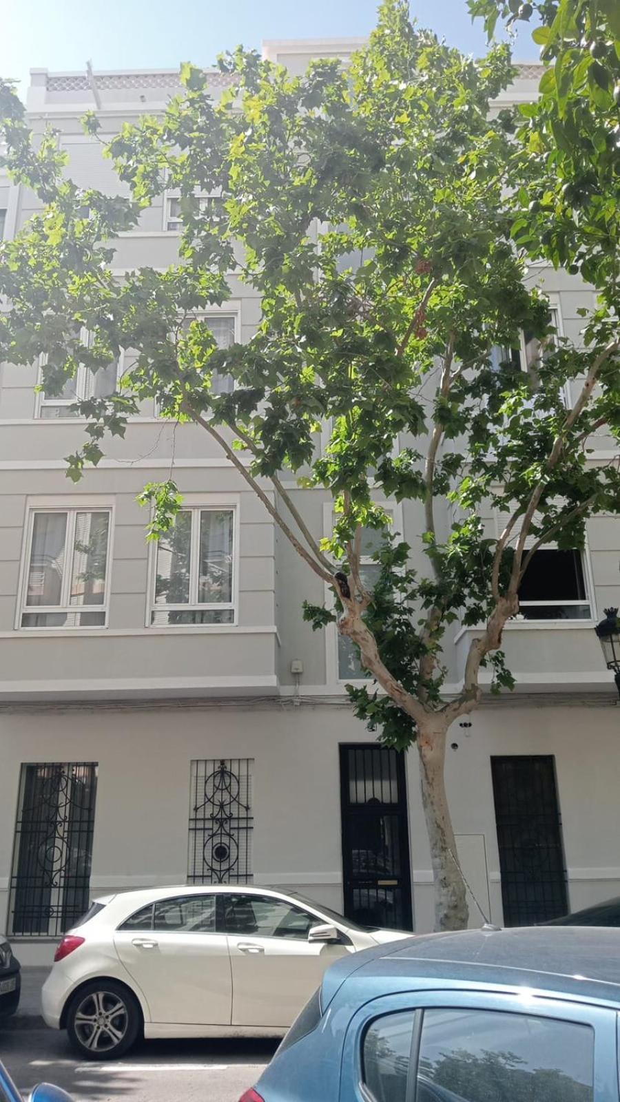 Florit Flats - The Patraix Apartamento