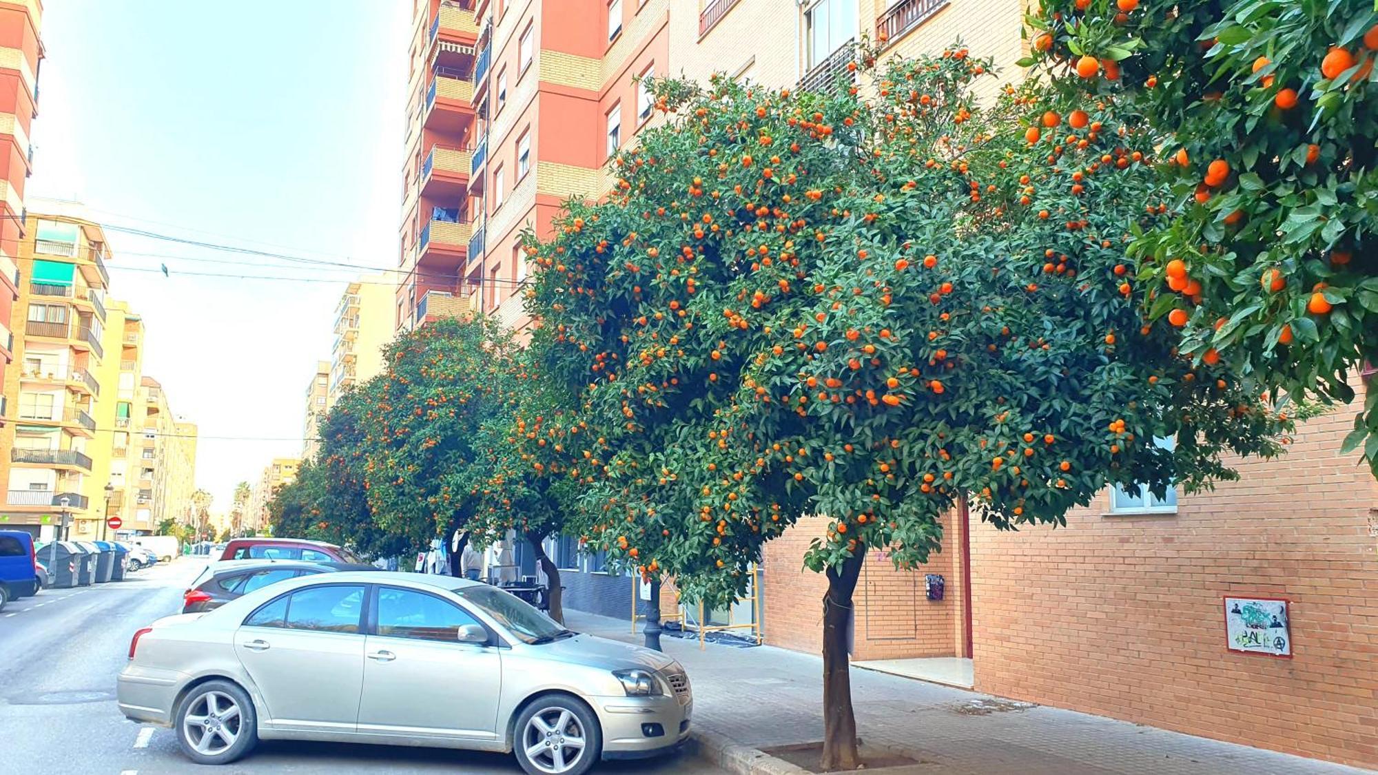 Apartment Nuevo Costa Del Alma
