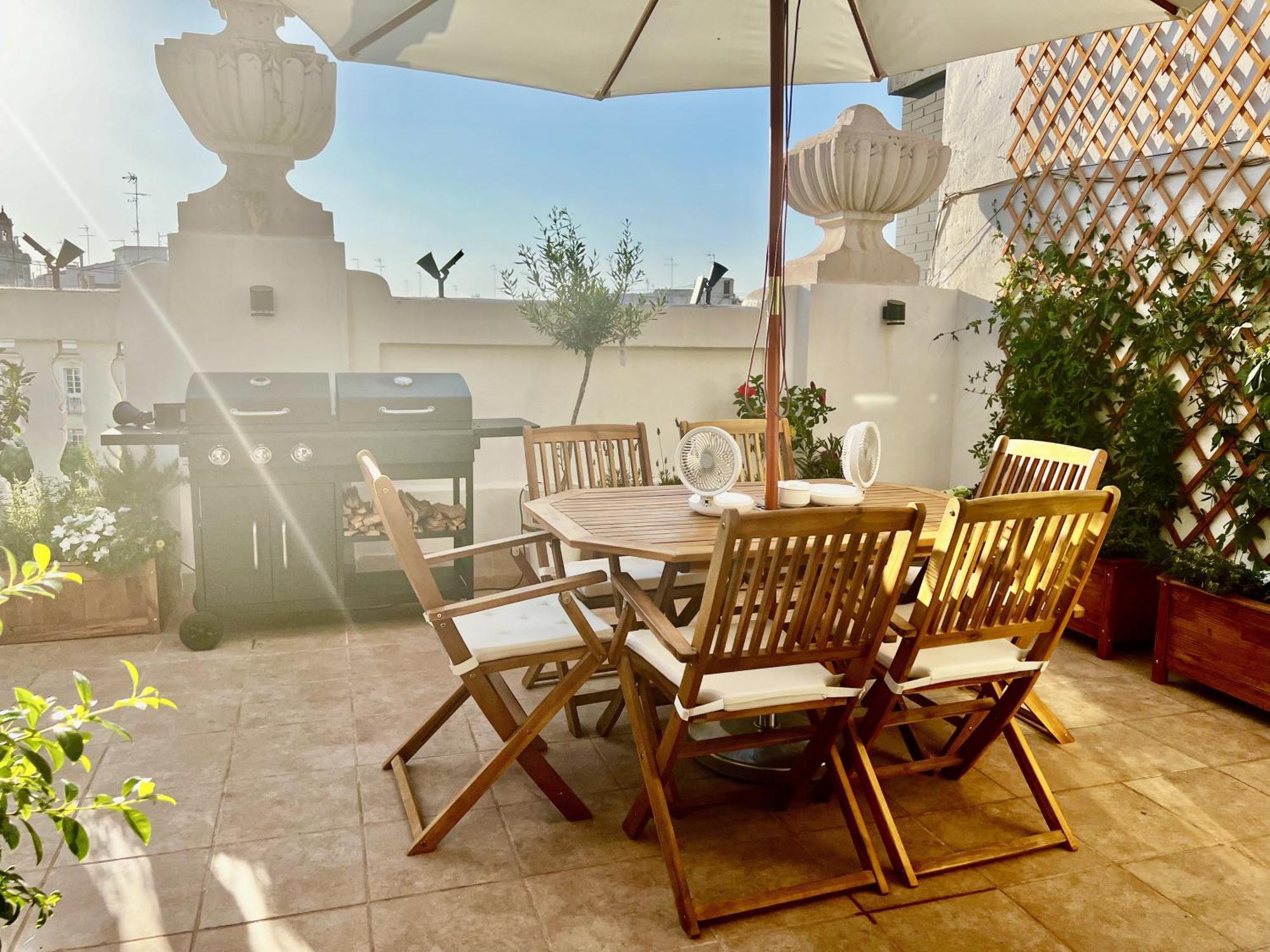 Apartment Luxury Penthouse Center *