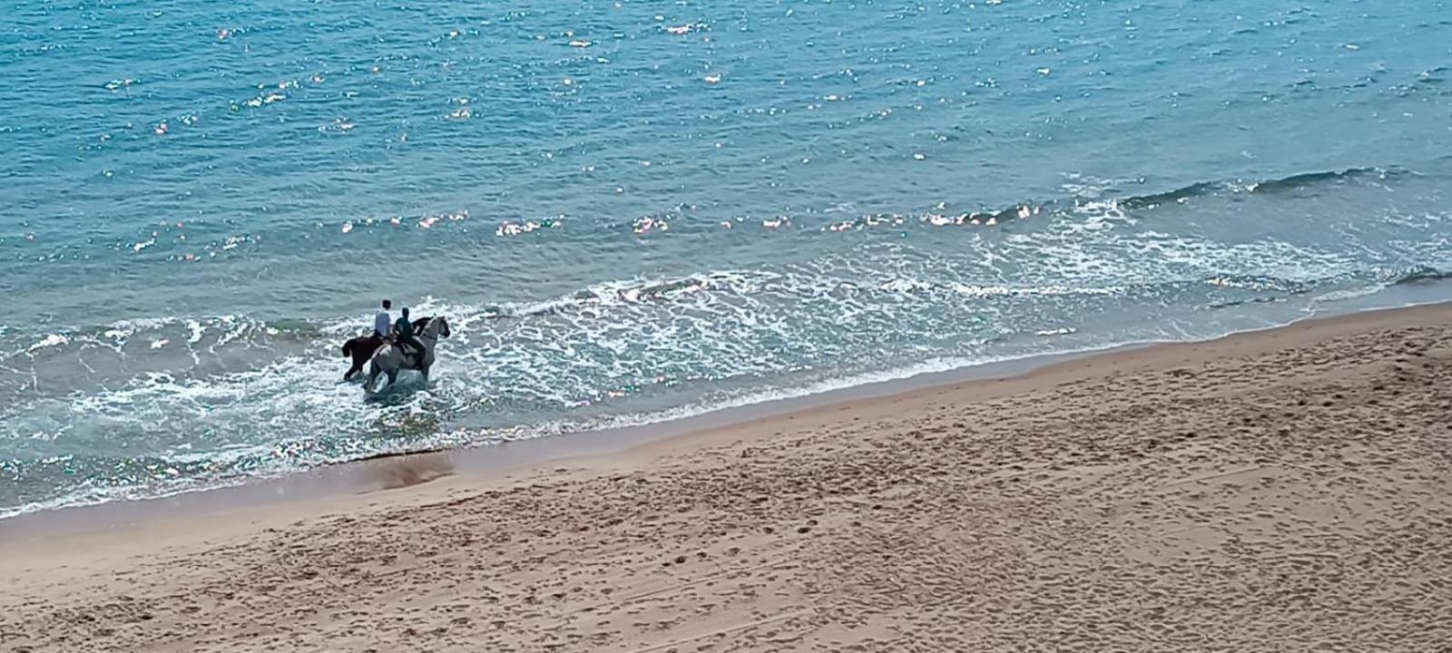 Blue Double Private At Front - Doble En La Playa Valência