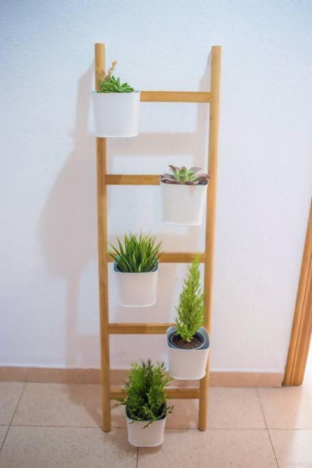 Tranquilo Y Acogedor En El Centro De La Ciudad Appartement