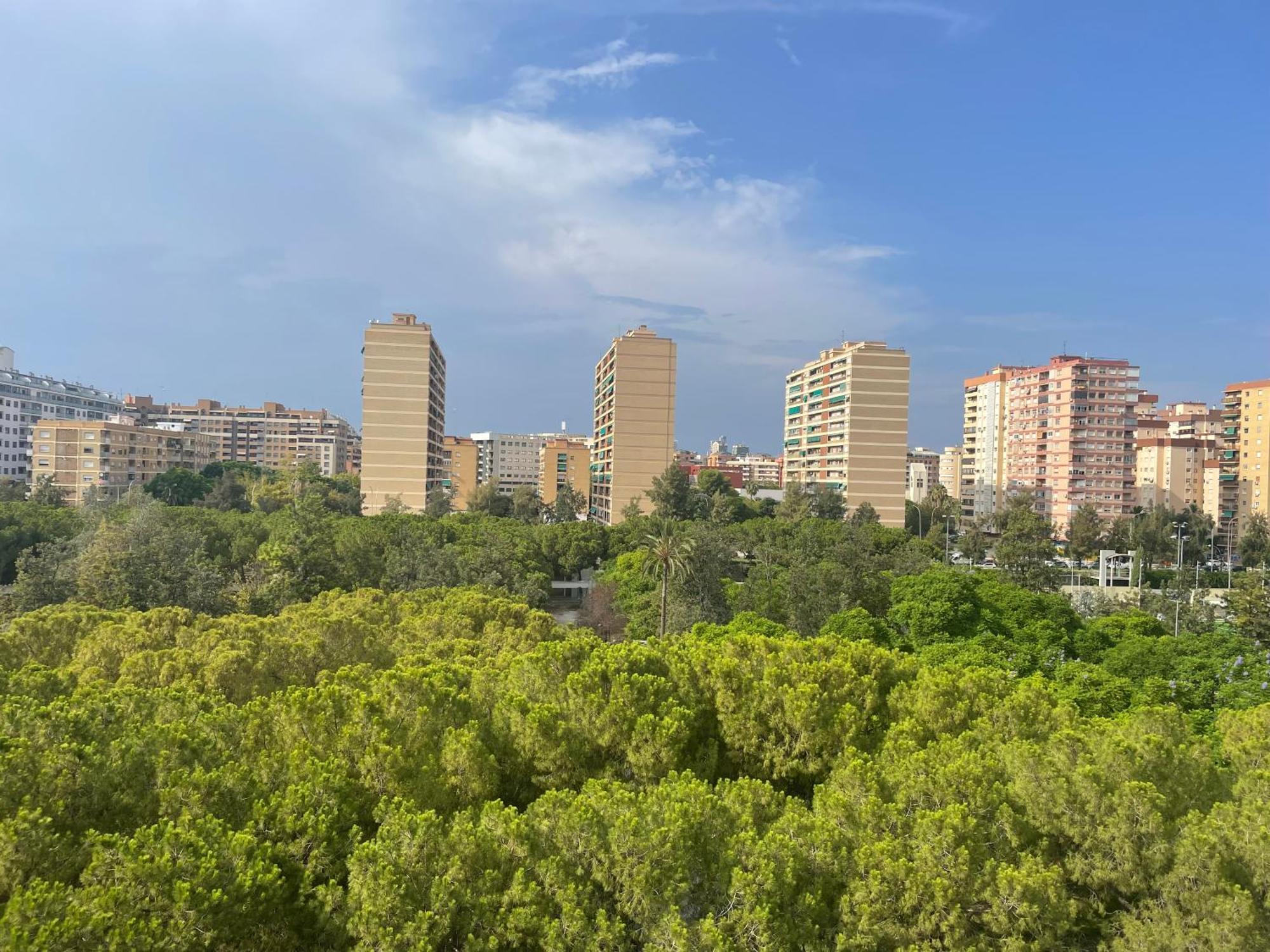 Apartment Cozy - Lumineux 3 Pieces, A Cote Du Jardin De Turia Valencia