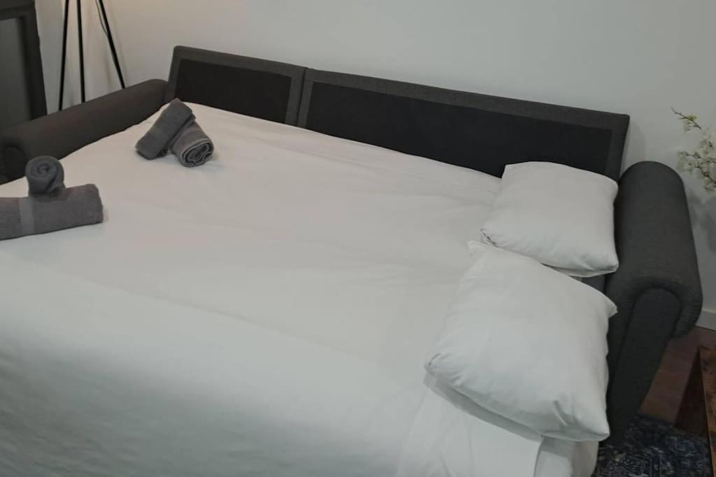 Artes Y Ciencias D With Fast Wifi And Terrace Apartment *