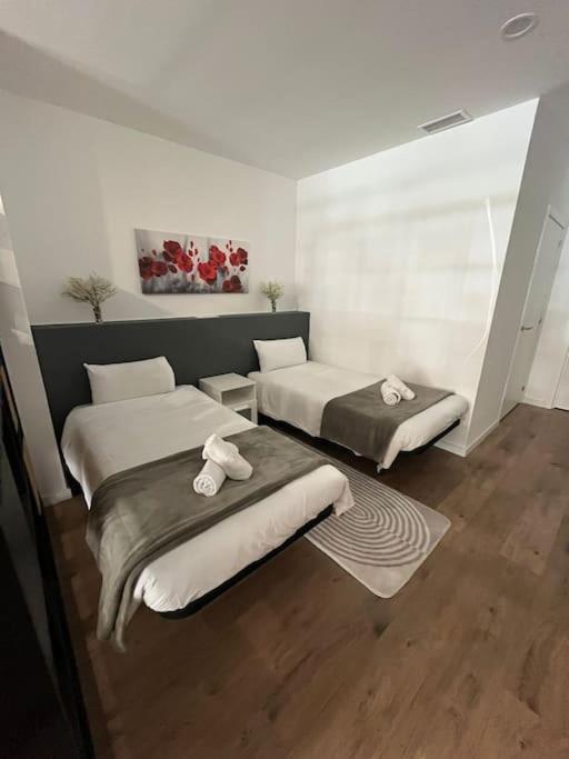 Artes Y Ciencias D With Fast Wifi And Terrace Apartment