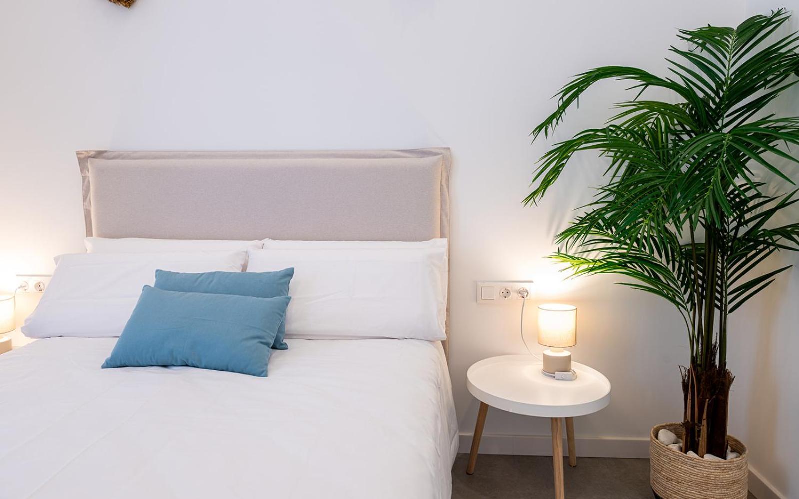 Main Lofts Valencia