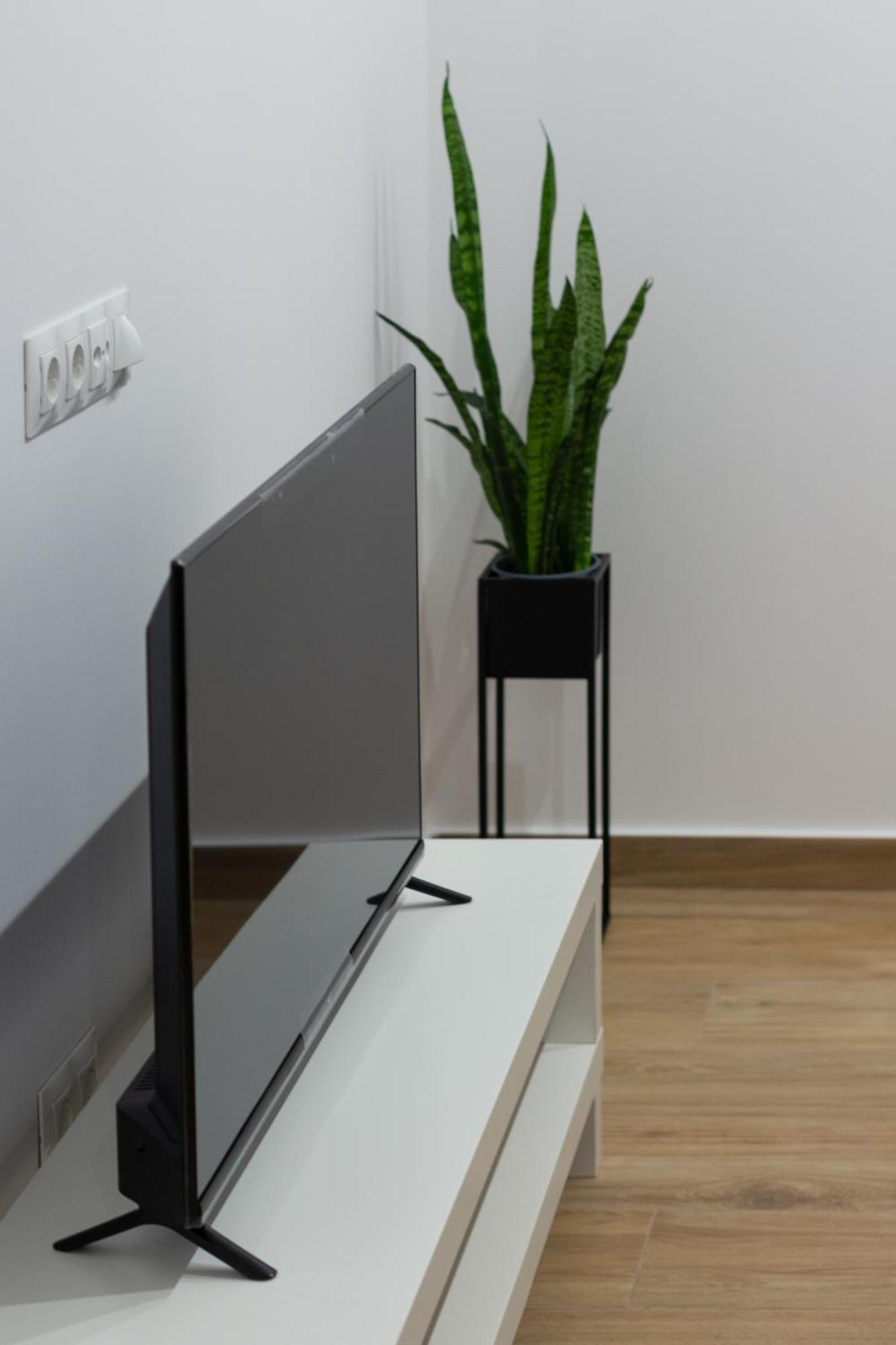 Vlc Host- Fray Pedro Bed & Breakfast