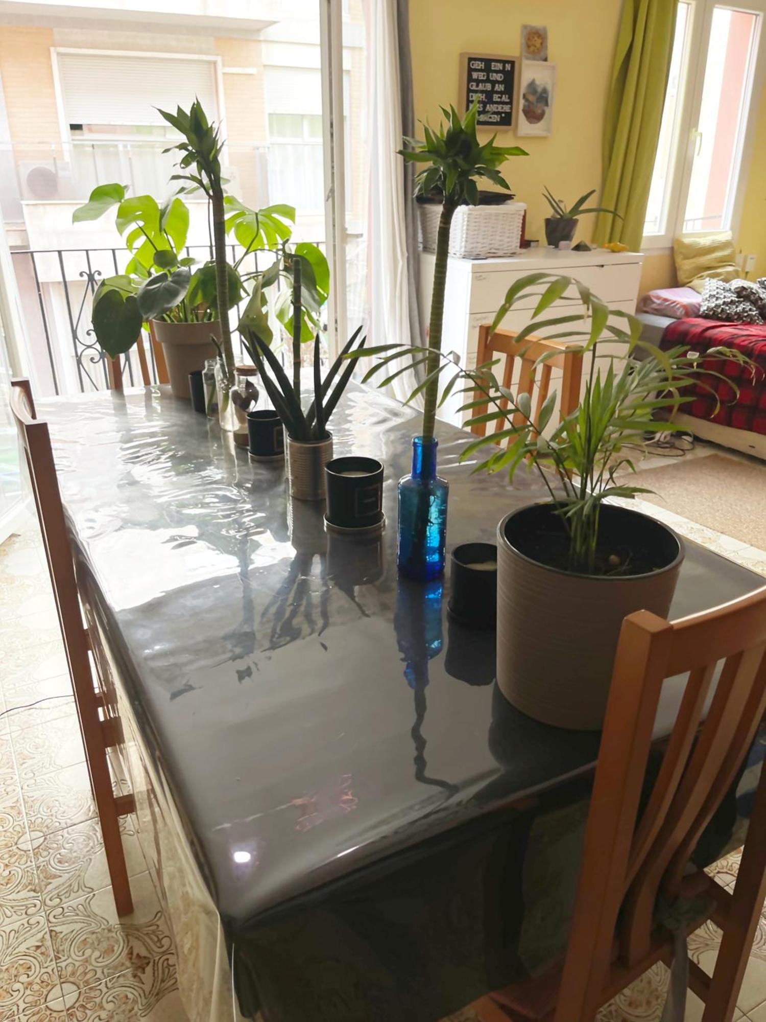 Homestay Gemuetliches 