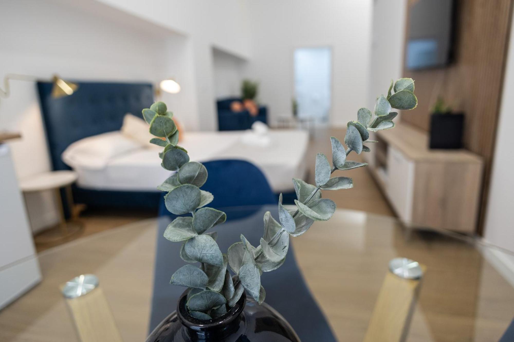Guest house Imprenta Sorolla By Concept