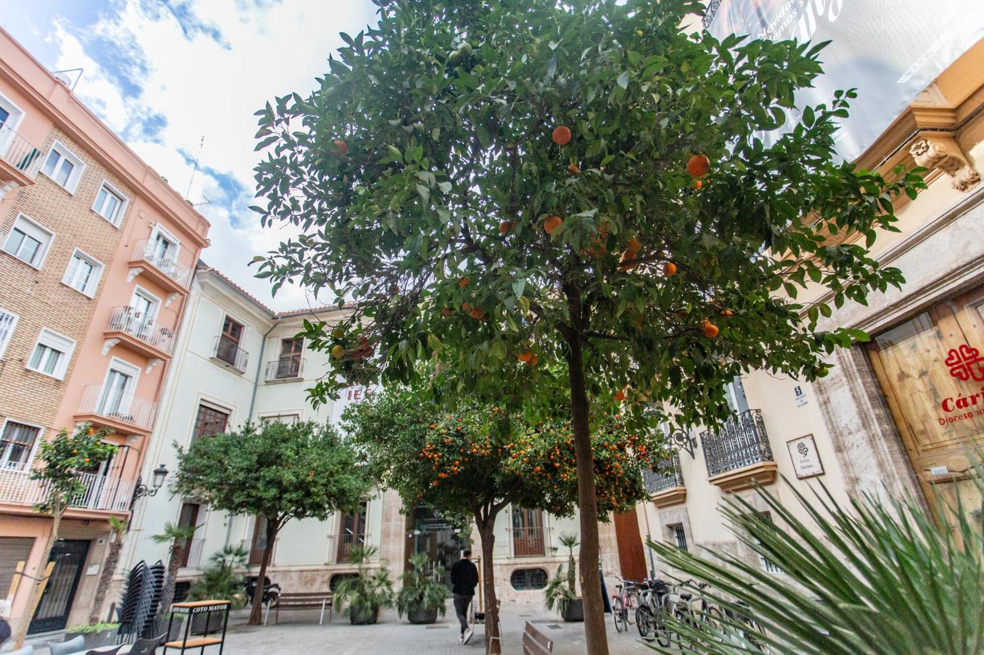 Vlc - Tranquilo En Plaza Cisneros Apartment Valencia