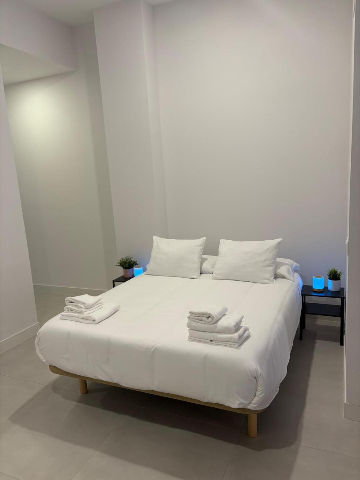 Centric Loft Near Arts & Science Apartment *