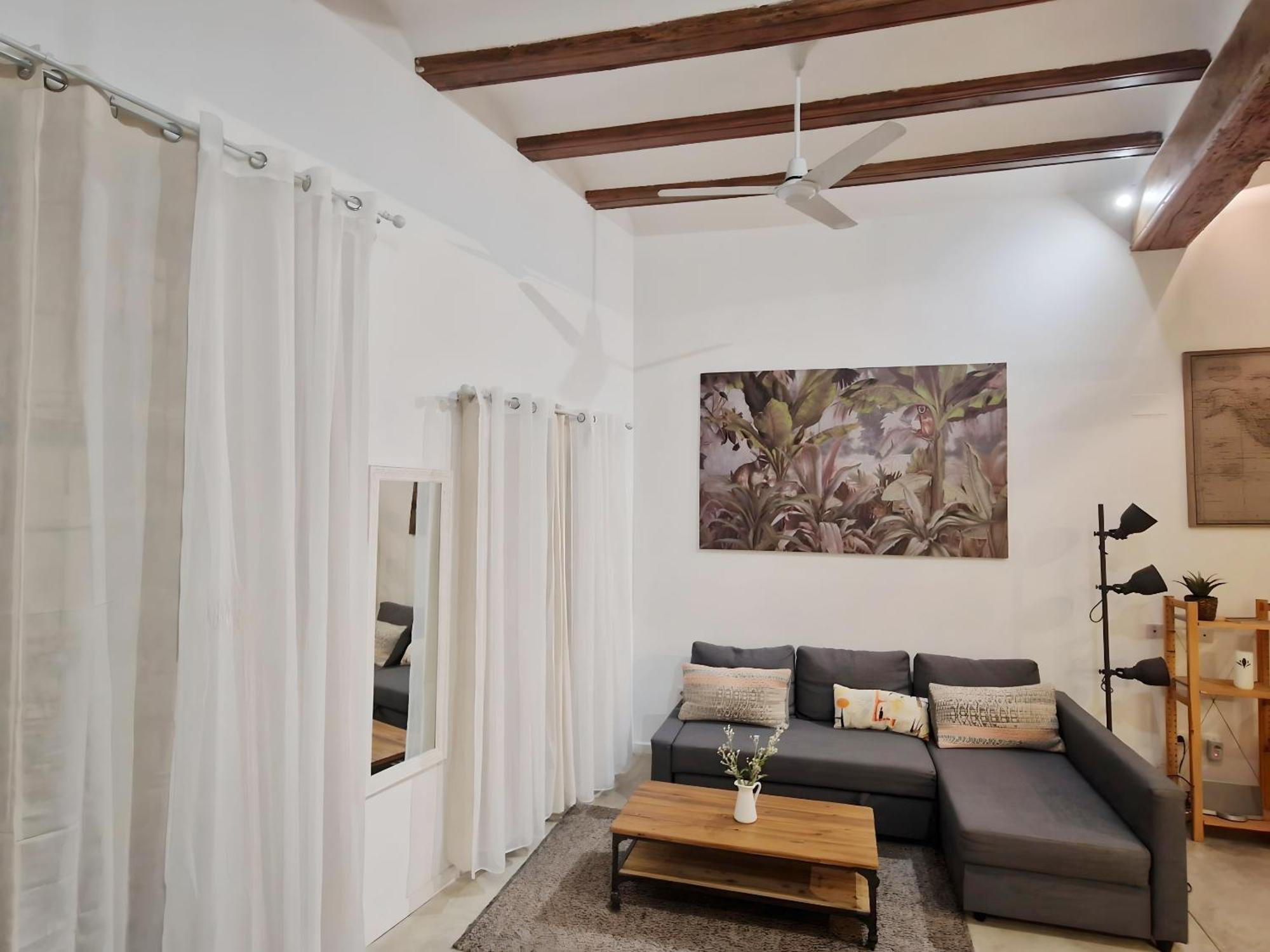 Apartamento Acogedor Piso En El Corazon Del Casco Historico Valência