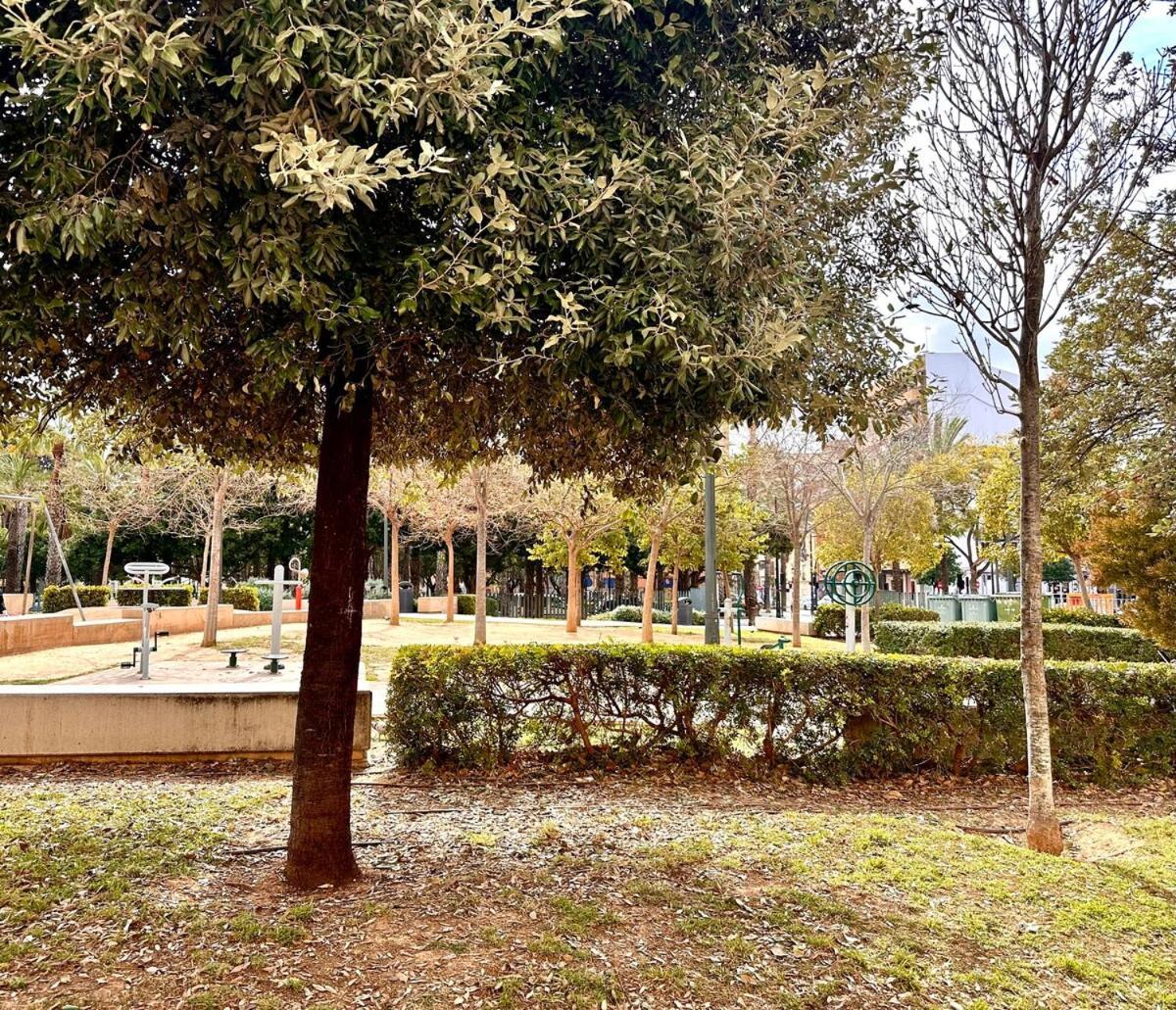 Apartamento Filologo Sanelo Luxury