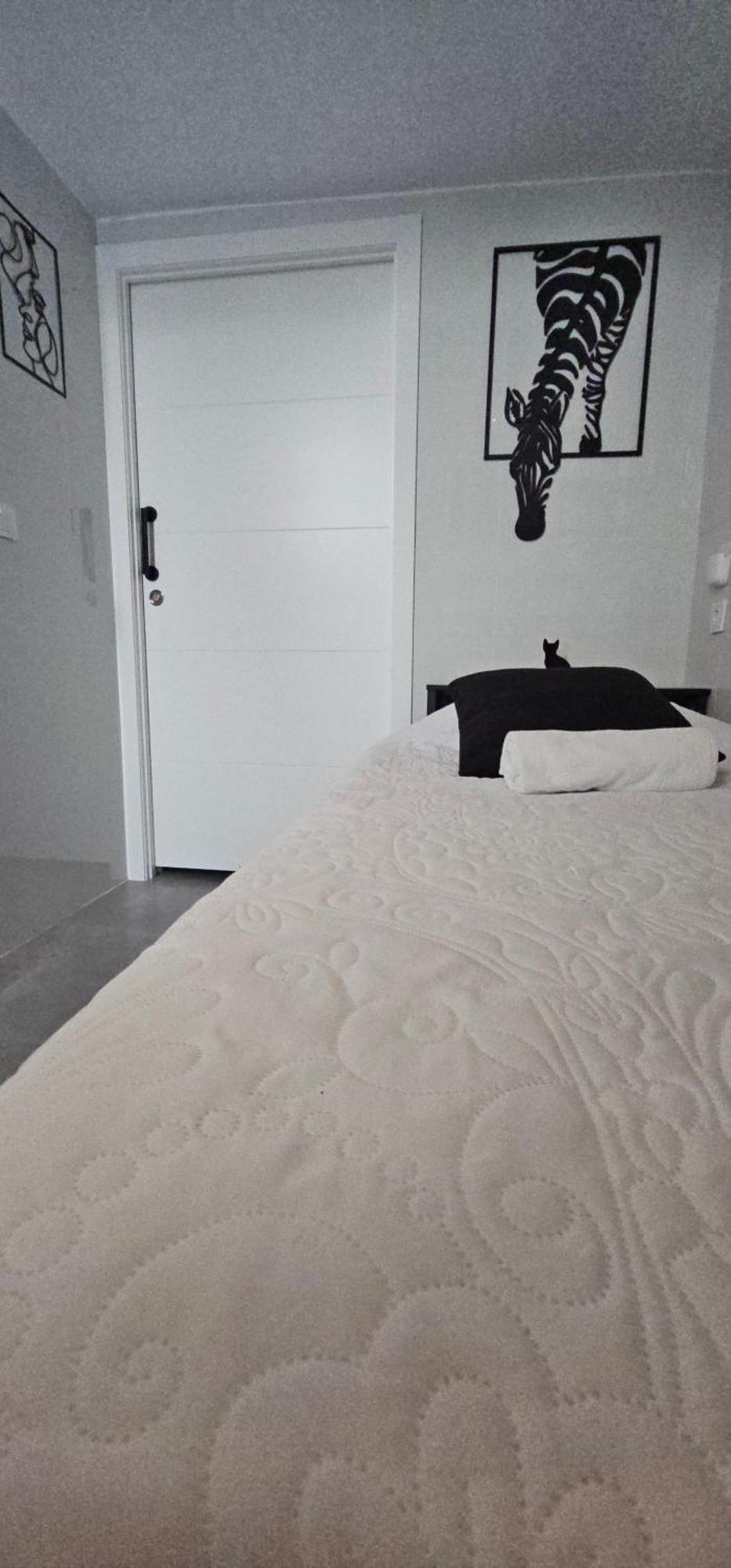 A7 Viviendaturisticavalencia Arte Apartment Valencia